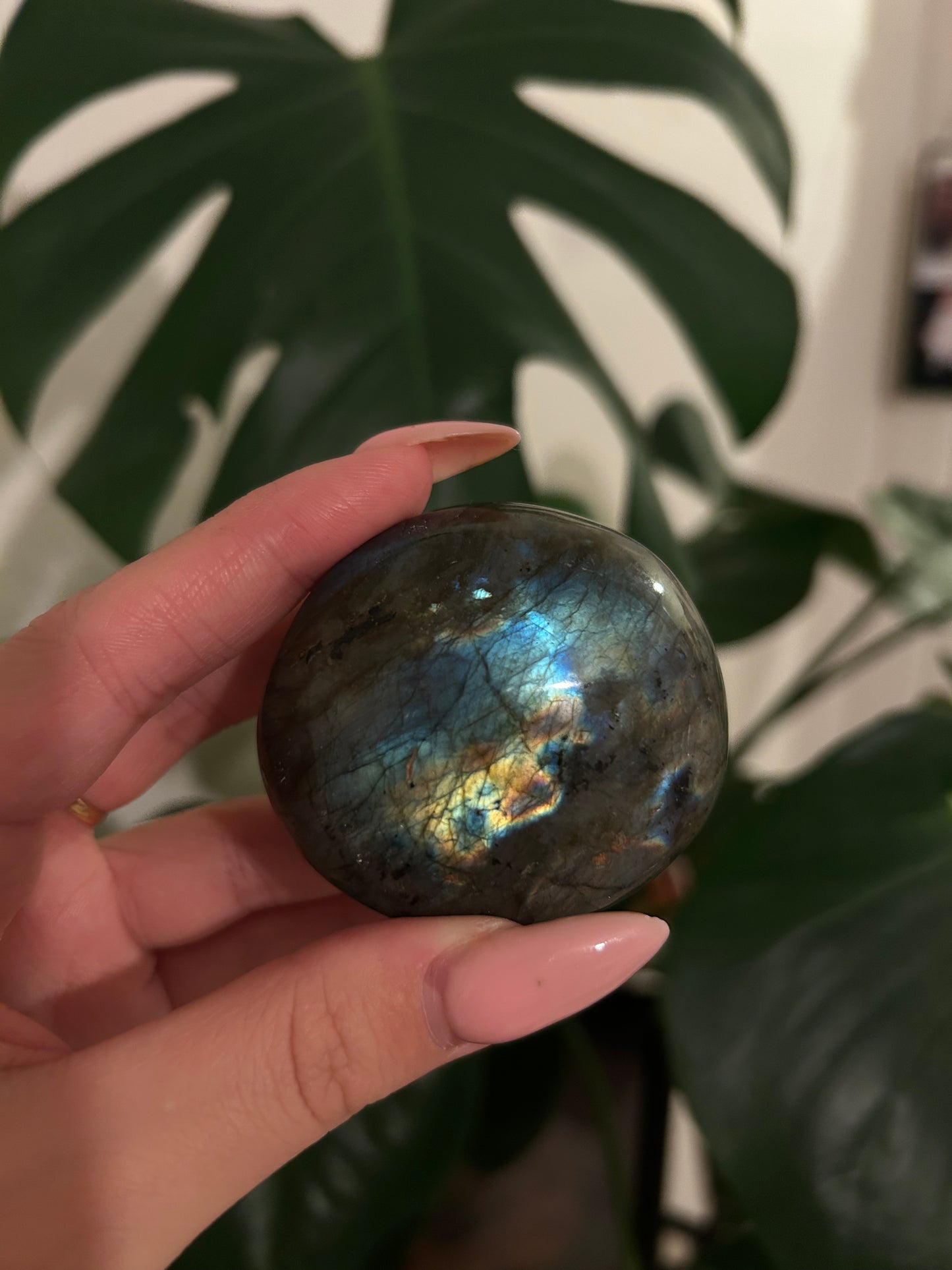 Galet Labradorite