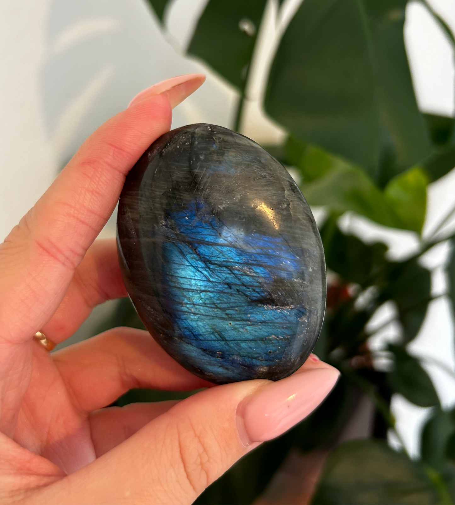 Galet Labradorite