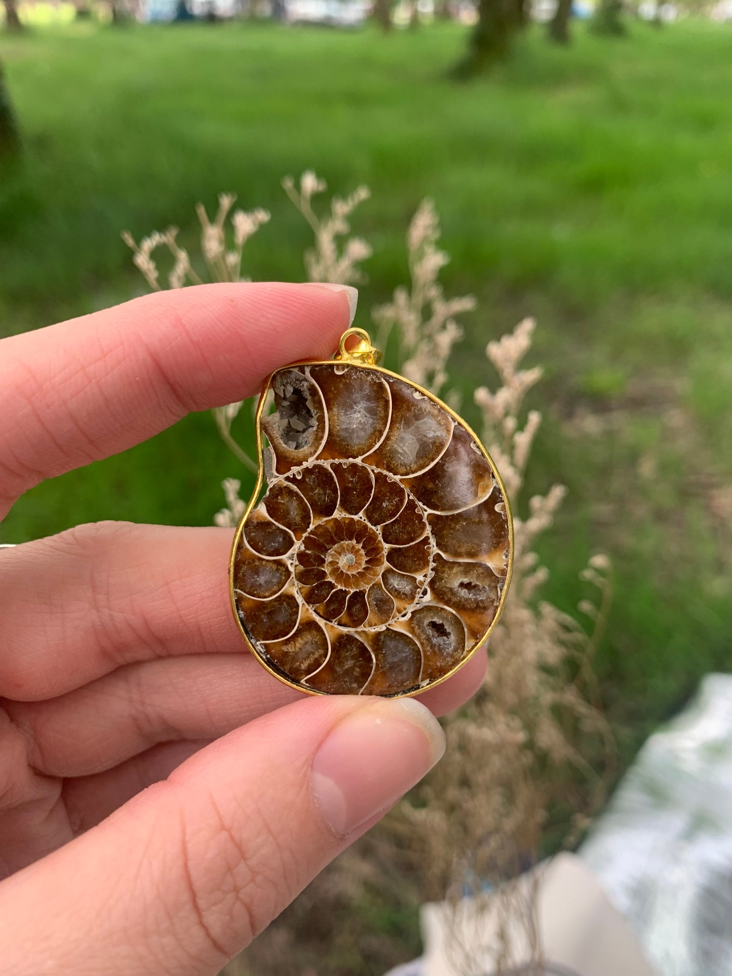 Pendentif Ammonite