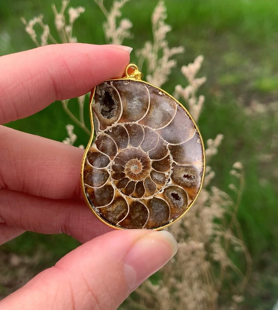 Pendentif Ammonite